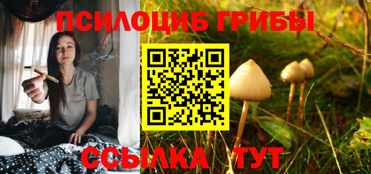 даркнет сайт  Вход с VPN  Галлюциногенные грибы ЛСД  Краснодар  Галлюциногенные грибы ЛСД 