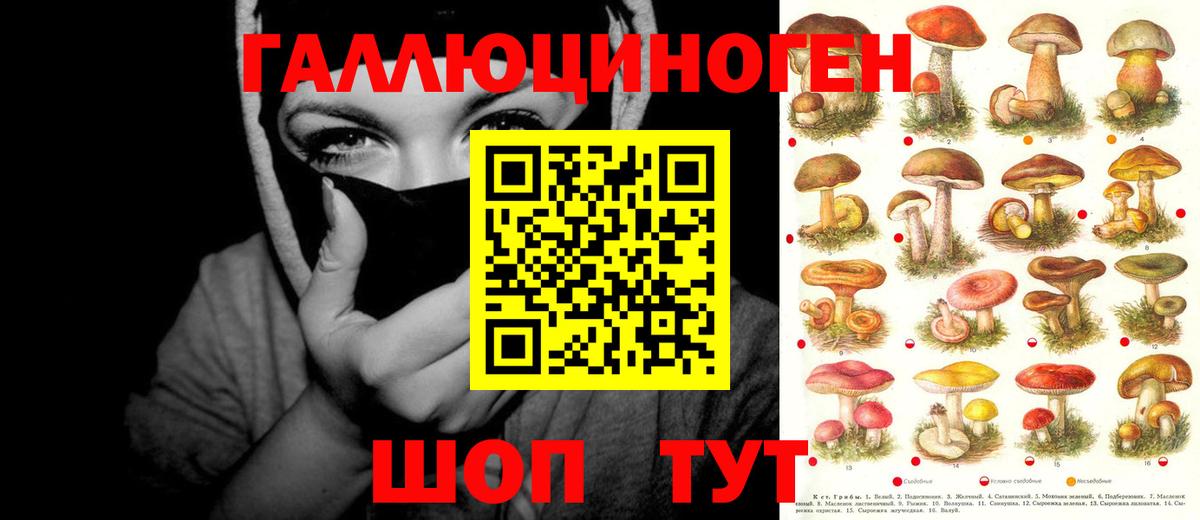 Галлюциногенные грибы мицелий Краснодар